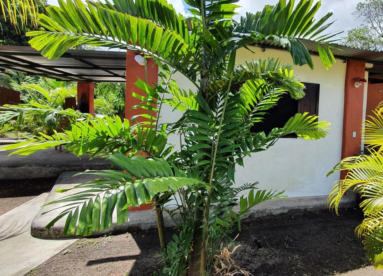 Rancho Tranquillo Hostel Moyogalpa Εξωτερικό φωτογραφία